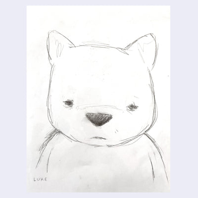 Graphite drawing of a bear with a large head and a grumpy face.
