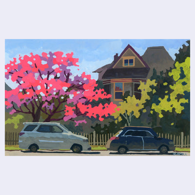 Plein air painting of a street with 2 cars parked in front of a tall house with a small gate. Trees obscure most of the house, one of them being a very bright pink cherry blossom tree in full bloom.