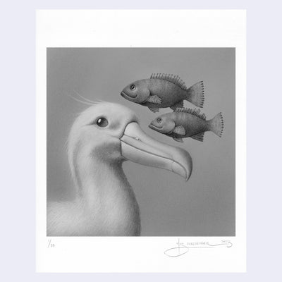 Softly rendered graphite drawing of an Albatross, with a soft look in its eye and a subtle smile. Floating over its beak are 2 small fish, both slightly smiling as well.