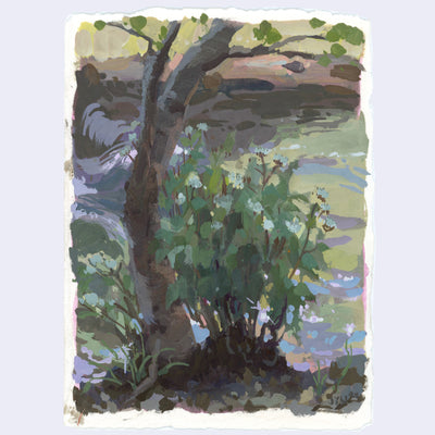 Plein air painting of a shaded tree trunk and bush, in dirt right in front of a green lake.