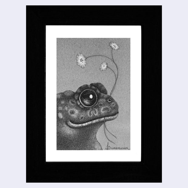 Softly rendered graphite drawing, done primarily in a pointillism style of a realistic frog, with large glossy eyes and a slight smile holding a small bouquet of flowers in its mouth. 