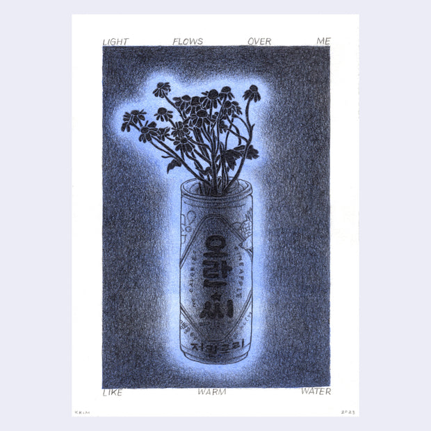 Soft graphite drawing on lilac blue background of a can of a Korean beverage, holding a bouquet of small daisies. Text around the piece reads "Light flows over me like warm water."