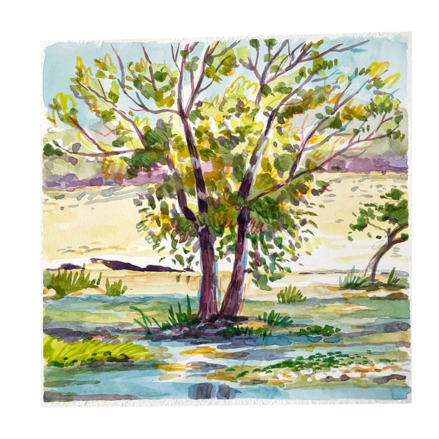 Plein air painting of a large tree growing on a mound of ground surrounded by water in the LA River.