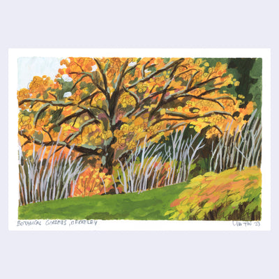 Plein air painting of a grassy lawn with a large tree on it with yellow and orange leaves. Orange bushes are on the lawn and around the tree.