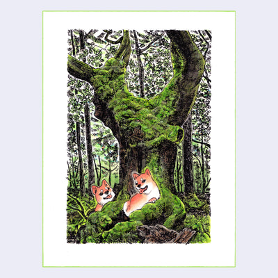 Ink drawing of a thick moss covered tree, in a dense forest. 2 small orange Shiba Inu puppies play around the base of the tree. 