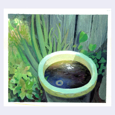 Plein air painting of an off white large pot, full of water. It is surrounded by green plants up against a wooden fence.