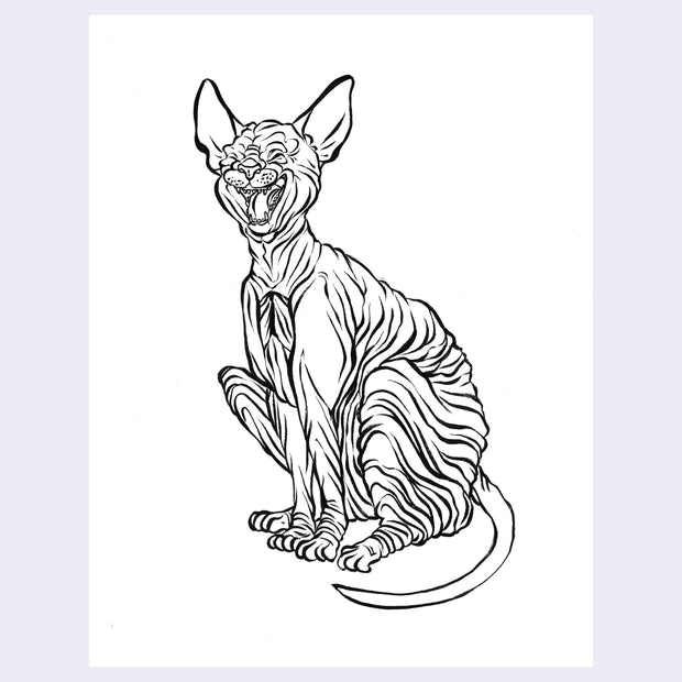 Black ink  line art illustration of a sphinx cat, yawning and sitting.