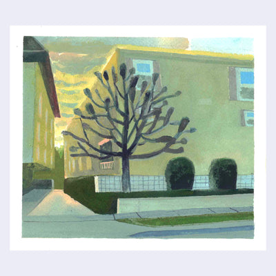 Plein air painting of a yellow apartment building at sunset, with yellow clouds illuminating the sky. A barren tree stands in front of the building, next to rounded hedges.