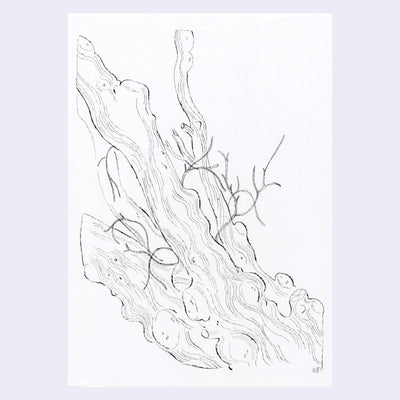 Pencil drawing on white paper of a tree with bumpy branches and a thick trunk.
