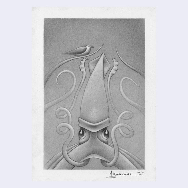 Graphite sketch of a squid, with curled arms. A small seagull sits atop its head.