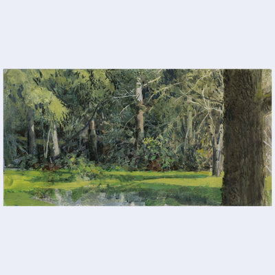 Plein air painting of a swamp setting, with many large and very densely located trees all around it.