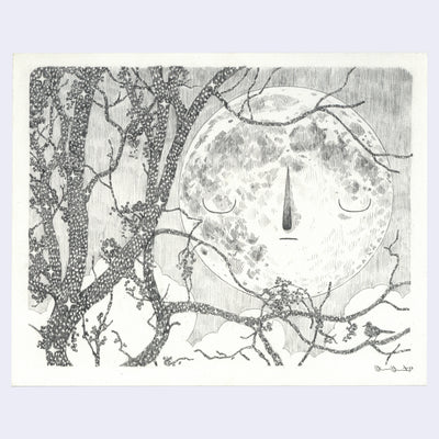 Graphite drawing of a large moon with a simple cartoon face, closed eyes and calm. A bare branched tree frames the left side of the piece. The tree is a starry night sky pattern.
