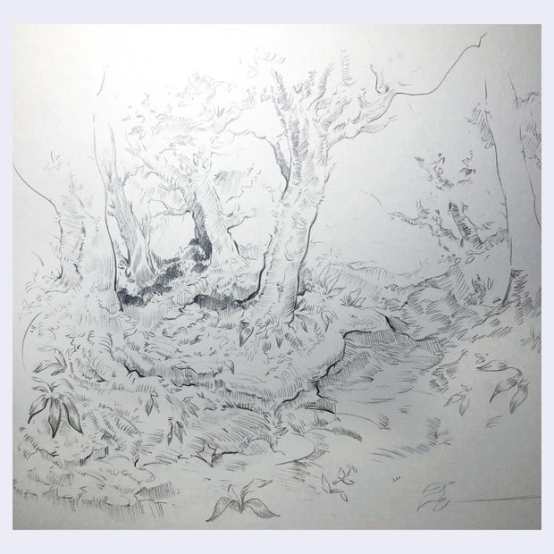Graphite drawing of a forest setting, sketchily rendered with a river running through it.