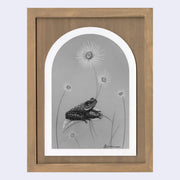 Graphite drawing within an arch shape, of a small frog resting on a leaf with wispy flowers behind. Drawing is fully greyscale and piece is in a wooden frame.