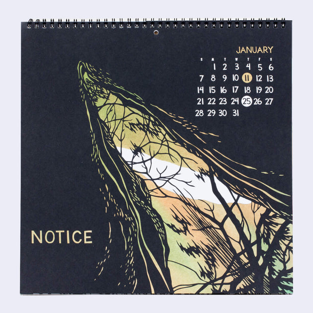 Nikki McClure Connect 2024 Wall Calendar GiantRobotStore