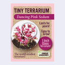 Tiny Terrarium Sedum Flower Growing Kit (Assorted)