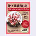 Tiny Terrarium Sedum Flower Growing Kit (Assorted)
