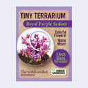 Tiny Terrarium Sedum Flower Growing Kit (Assorted)