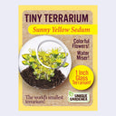 Tiny Terrarium Sedum Flower Growing Kit (Assorted)