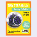 Box for Tiny Terrarium, with flower seeds to grow a mini flower garden.