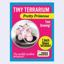 Box for Tiny Terrarium, with flower seeds to grow a mini flower garden.