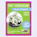 Box for Tiny Terrarium, with flower seeds to grow a mini flower garden.