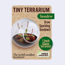 Product packaging for a tiny glass terrarium with a Sundew plant growing inside.