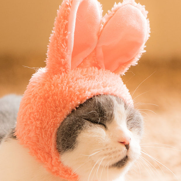 A gray and white cat, with its eyes closed sits in the sun while wearing a snug fitting fluffy cap with pink bunny ears.