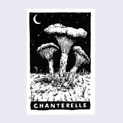 A dramatic illustration in black ink of a sprouting mushroom that looks like smoke rising from explosion. Text on bottom says Chanterelle.
