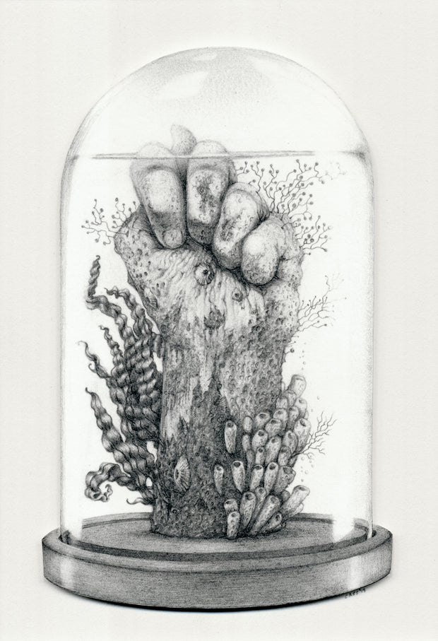 Finely detailed pencil illustration of a glass dome with a fist, holding its thumb, within. Plants and underwater fauna grows off the hand.  All white background.
