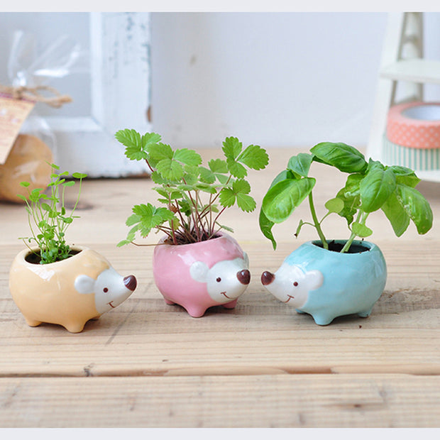3 ceramic hedgehog planters with various sprouting greenery.