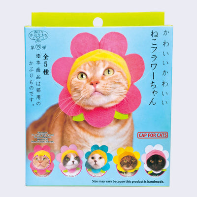 A blue and green blind box packaging with a tabby cat wearing a snug cap designed as a flower, with a yellow center and protruding pink petals. Small green leaves jut out the bottom of the cap. 5 total designs show at the bottom, detailed in the next photo. Japanese script is on the box.