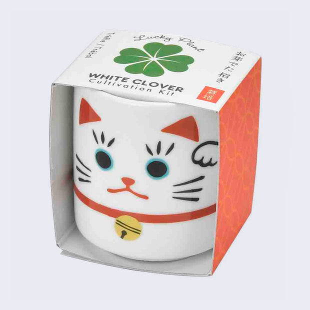 Small white ceramic cup, similar to a sake cup with a cartoon Japanese maneki on it, with a bell around its neck and one paw raised up. It is encased in a cardboard sleeve that reads "Lucky Plant" over a clover and "White Clover Cultivation Kit" written underneath.