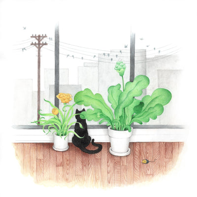 Finely shaded color pencil illustration of a black cat sitting on a detailed wood floor, looking out a window. Two lush houseplants frame the cat, a telephone pole with lots of birds appears out the window. 