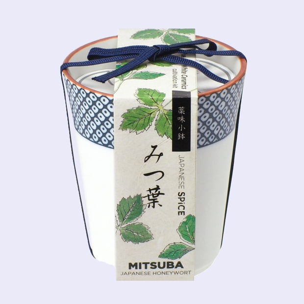 A white ceramic cup with blue dot patterning around the rim and a paper label that reads "Mitsuba Japanese Honeywort" with illustrations of leaves. A blue string bundles the label and the cup.