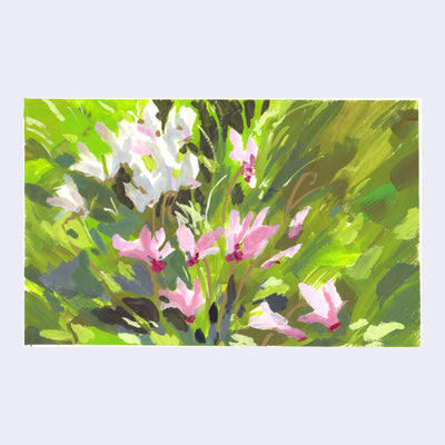 Plein air painting of close up pink and white flowers.