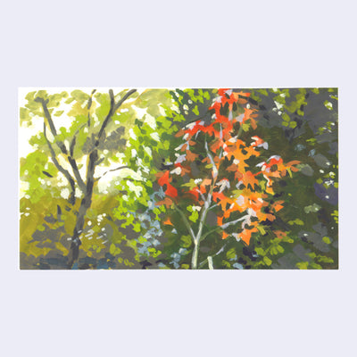 Plein air painting, a close up of trees with a tree with red/orange leaves in the foreground.