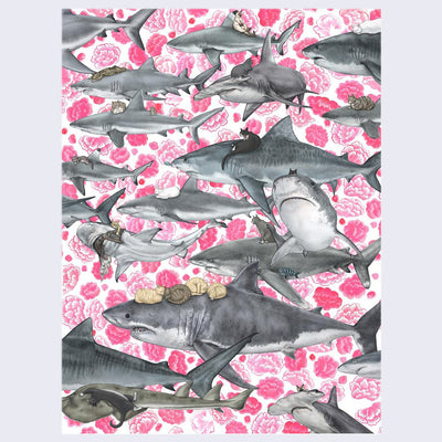 Color illustration similar to a pattern design. Various colored cats ride atop gray sharks. Background is white with many hot pink flowers.