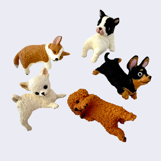 5 different plastic dog figures, options include: sleeping corgi, white with black Frenchie sitting with belly up, black and brown dacshund laying upside down, brown toy poodle laying on its back and white chihuahua laying with its leg dangling off.