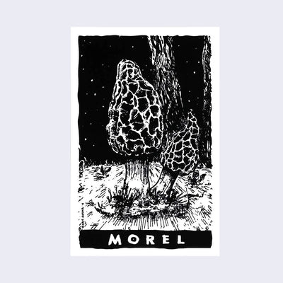 Stark black and white illustration of 2 morel mushrooms sprouting out from the ground in a dark forest setting. "Morel" is written along the bottom.