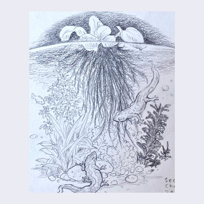 Rakugaki 4 - Sean Chao - "Water Scenery No. 6"