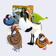 5 different plastic birds, bowing their heads with their hands put together in prayer position. Birds include: long-eared owl, white crane, brown sparrow, green parakeet, and gray bird with red beak.