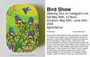 Bird Show at Giant Robot Store Begins May 30th!