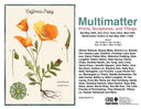 Art show poster displaying a scientific style illustration of a golden poppy flower. Show information accompanies, with names of artists and dates of the show.