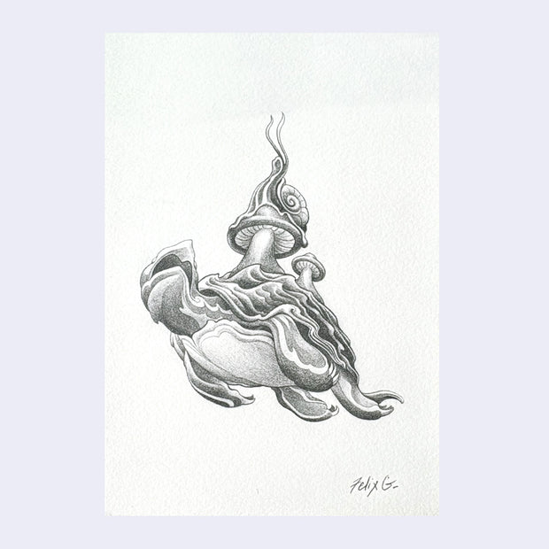 Graphite drawing of a turtle with a mushroom growing atop its back.