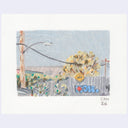 Sitting Outside IV - #37 - Samantha Maurer - "01"