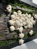 Mixed media sculpture of many small cute white blob creatures emerging from wooden floor boards with a large hole in the middle and greenery all around. Piece is within a black shadowbox frame without glass.