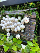 Mixed media sculpture of many small cute white blob creatures emerging from wooden floor boards with a large hole in the middle and greenery all around. Piece is within a black shadowbox frame without glass.