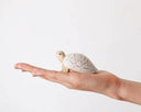 Small turtle figurine on a person's palm against a white background