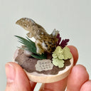 Sculpture of a clay axolotl, brown in color, atop a wooden base with paper plants and small rocks.